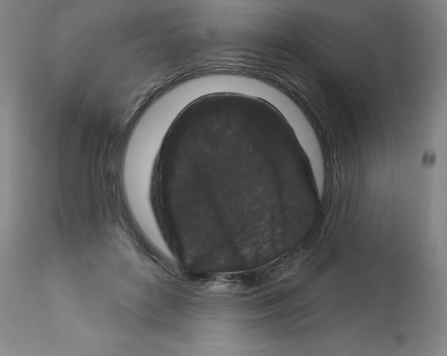 X0000112860504200909181804