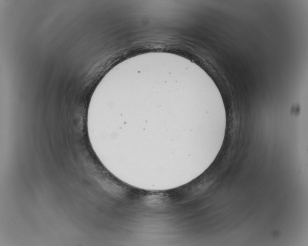 X0000112860505200909181804
