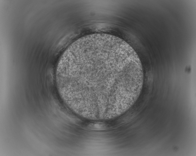 X0000112860506200909181804
