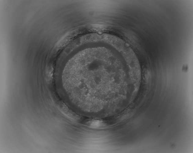X0000112860507200909181804