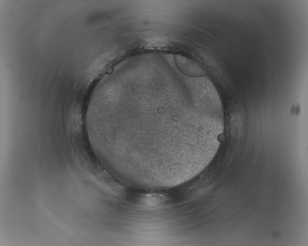 X0000112860508200909181804