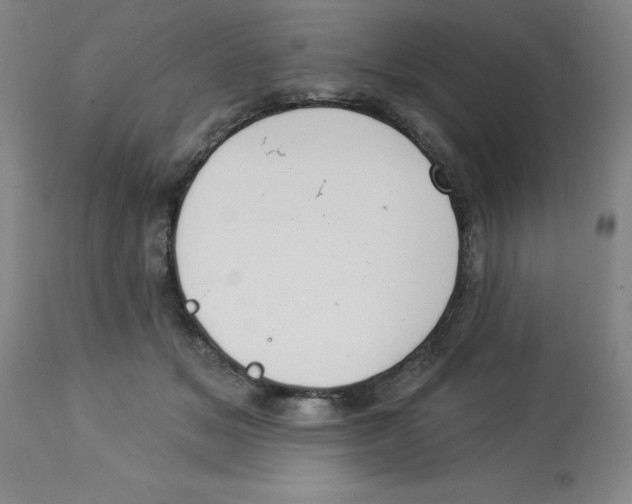 X0000112860509200909181804