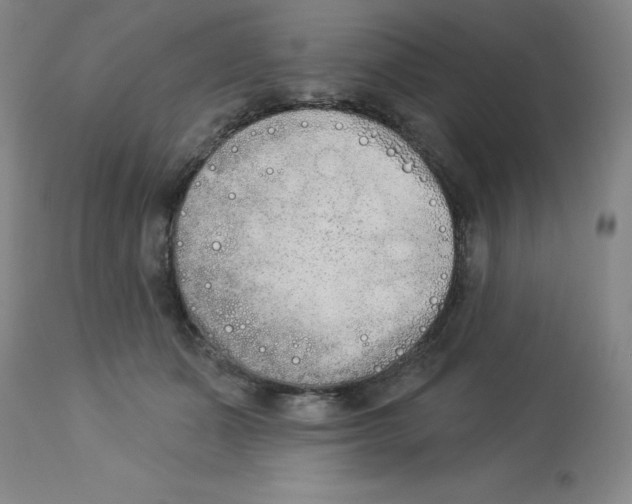 X0000112860511200909181804