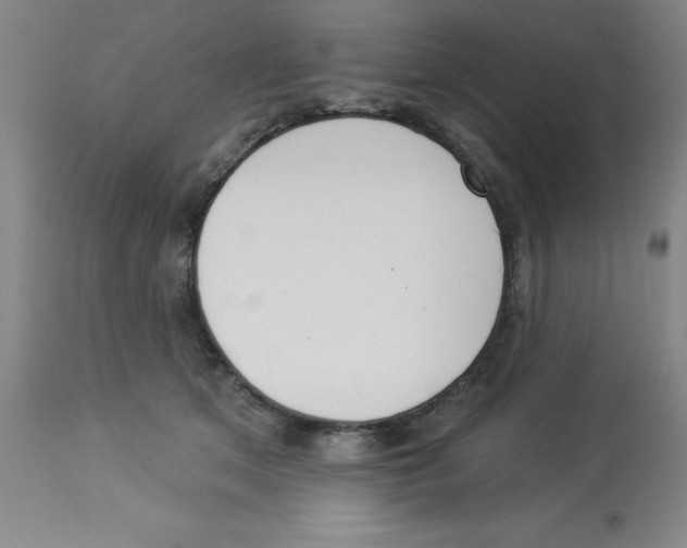 X0000112860513200909181804