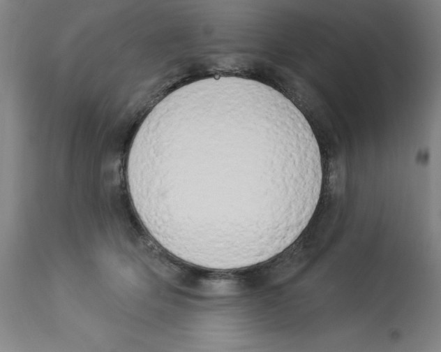 X0000112860514200909181804