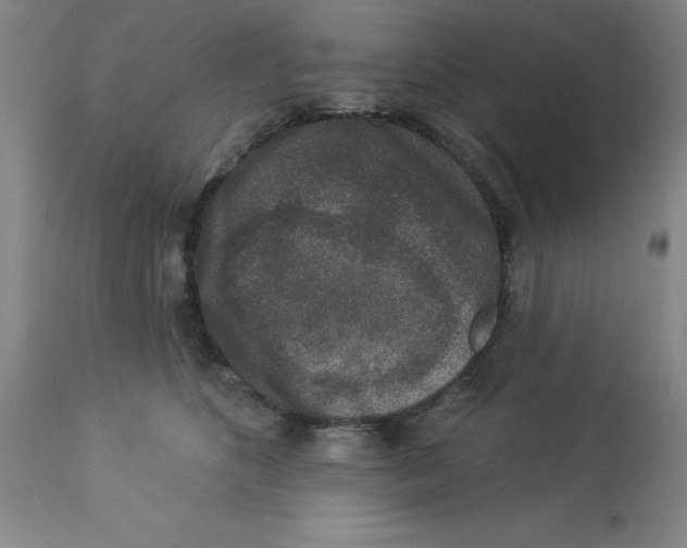 X0000112860516200909181804