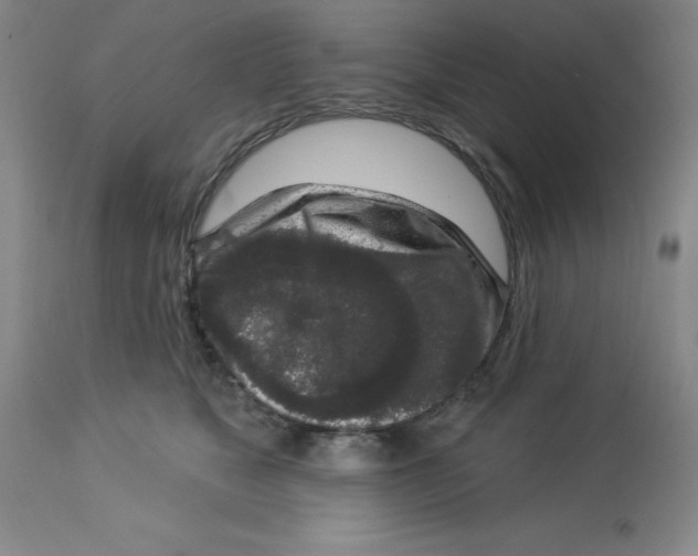 X0000112860517200909181804