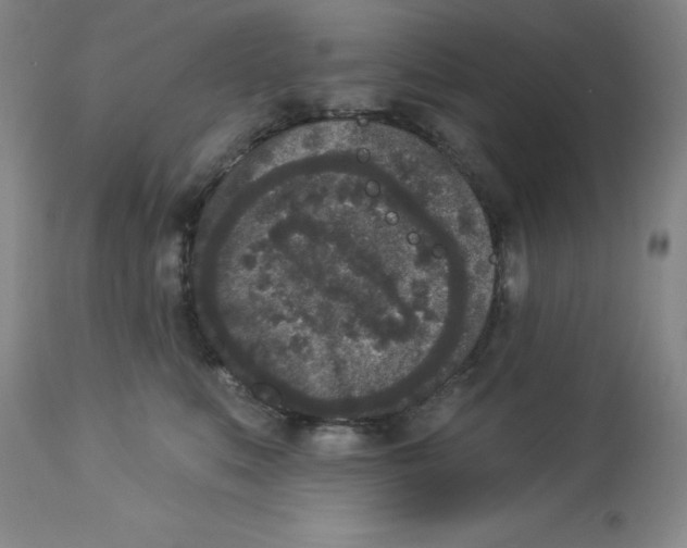 X0000112860519200909181804