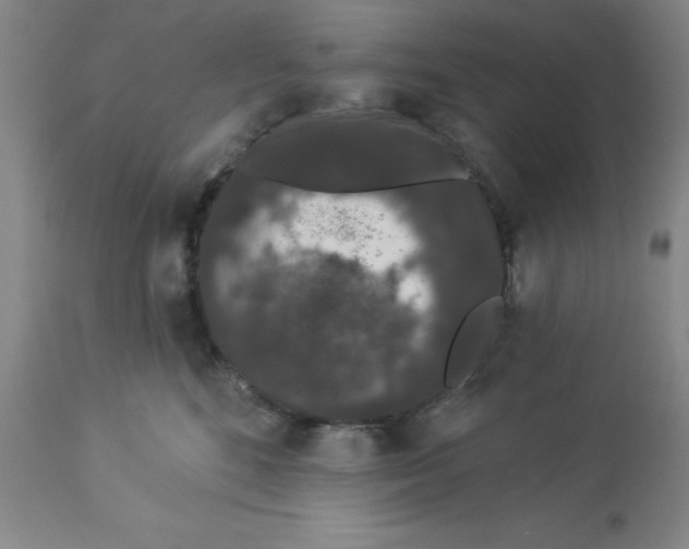X0000112860520200909181804
