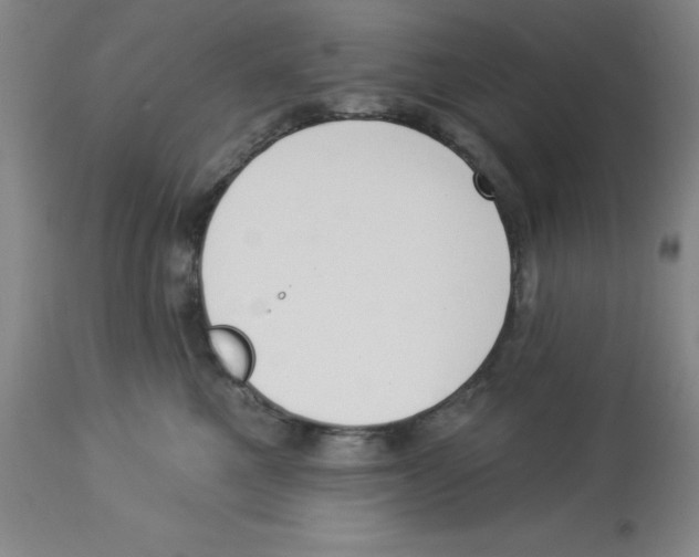 X0000112860521200909181804
