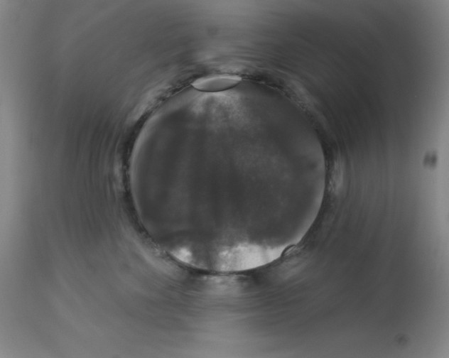 X0000112860524200909181804