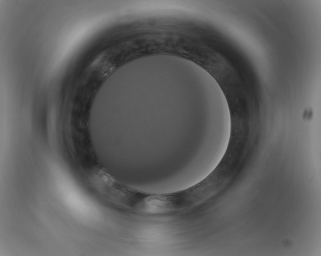 X0000112860526200909181804