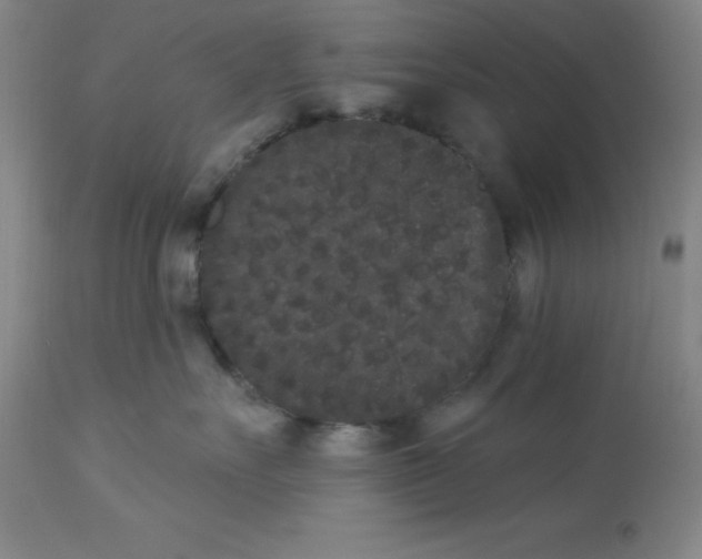 X0000112860527200909181804