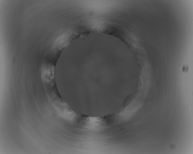 X0000112860528200909181804