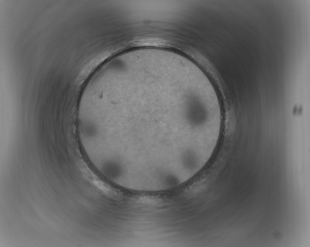 X0000112860529200909181803