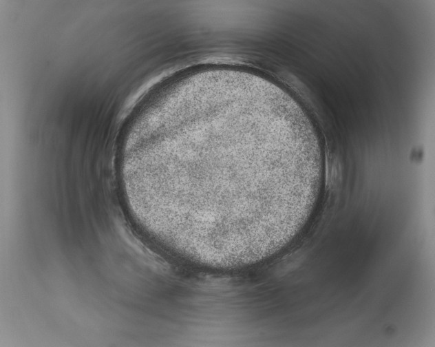 X0000112860531200909181803