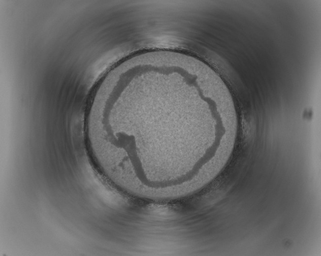 X0000112860534200909181803