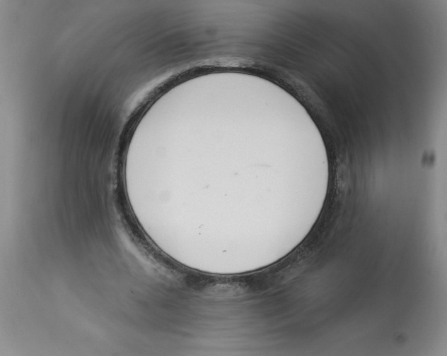 X0000112860536200909181803