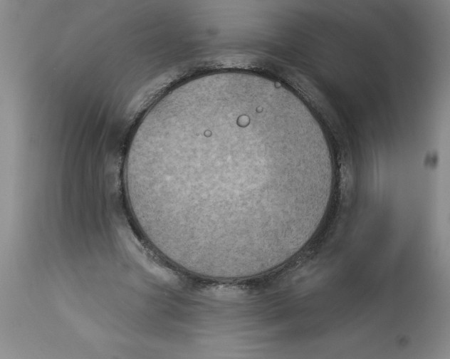 X0000112860537200909181803