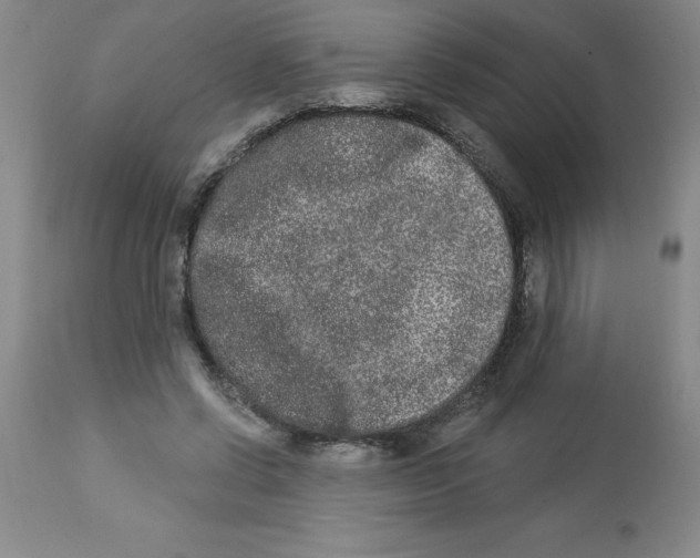 X0000112860542200909181803