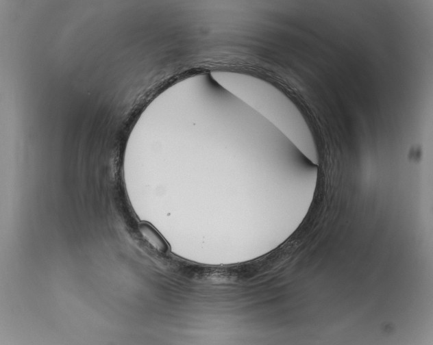 X0000112860546200909181803