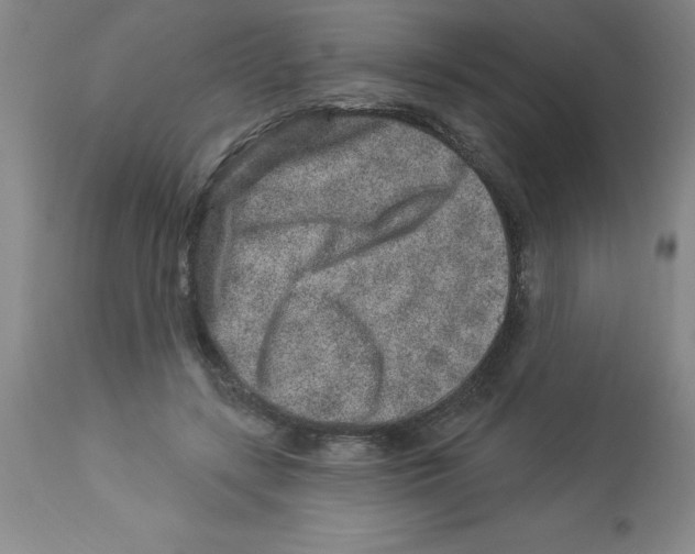 X0000112860547200909181803