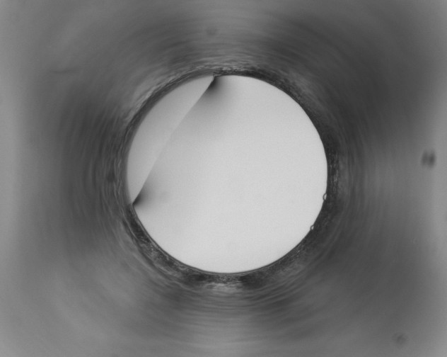 X0000112860548200909181803