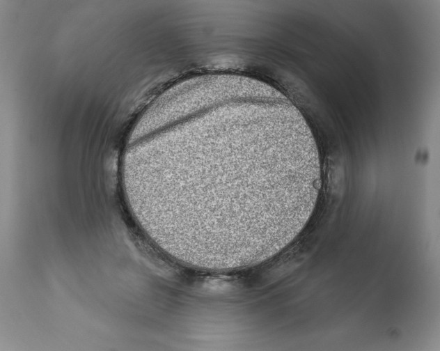 X0000112860550200909181803