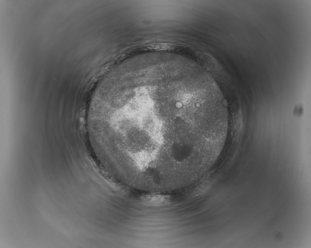 X0000112860553200909181803