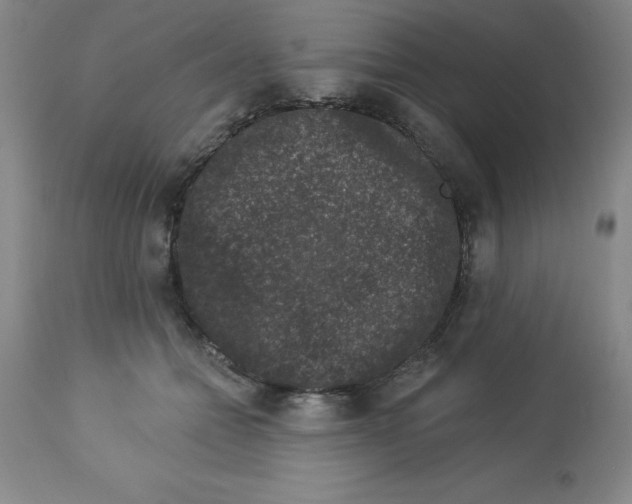 X0000112860558200909181803