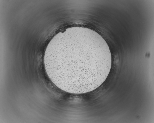 X0000112860559200909181803