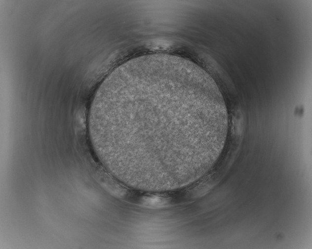 X0000112860561200909181804