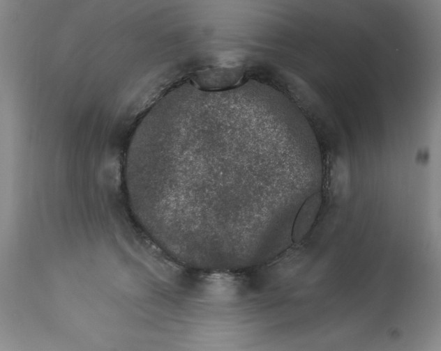 X0000112860562200909181804