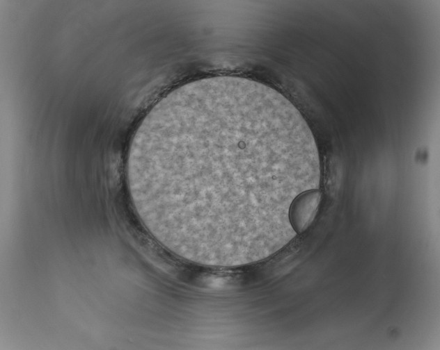 X0000112860563200909181804