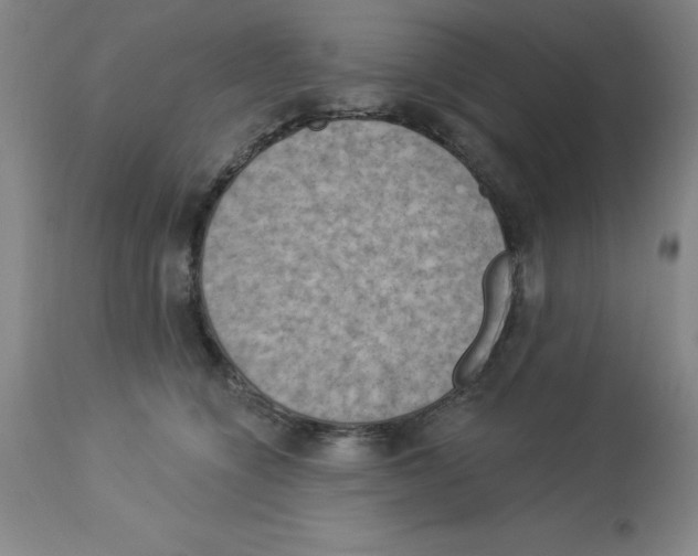X0000112860564200909181804