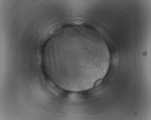 X0000112860568200909181804