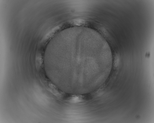 X0000112860569200909181804