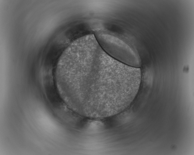 X0000112860572200909181804