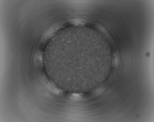 X0000112860573200909181804