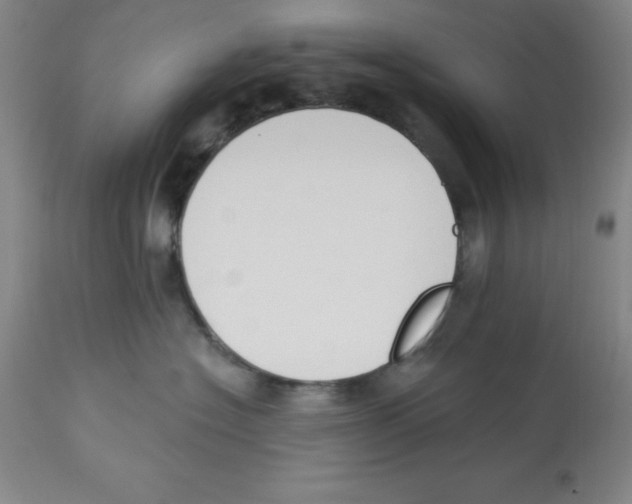 X0000112860574200909181804