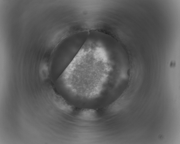 X0000112860576200909181804