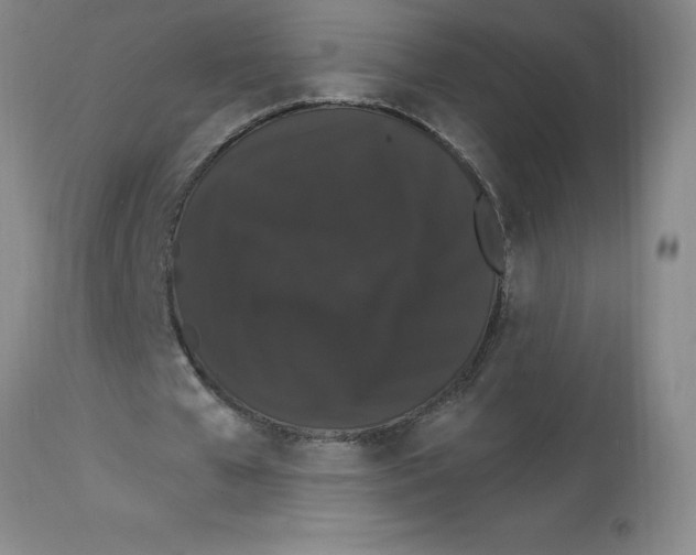 X0000112860577200909181803