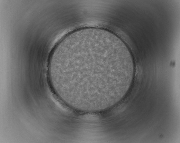 X0000112860578200909181803