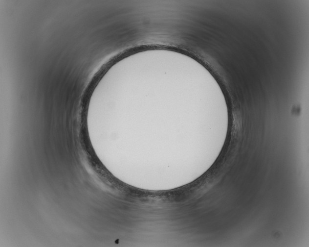 X0000112860580200909181803