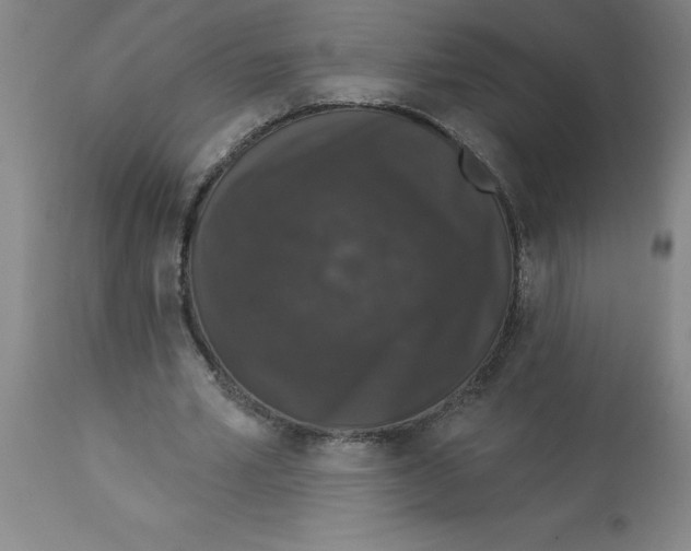 X0000112860581200909181803