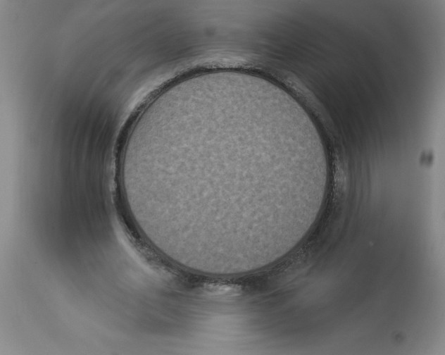 X0000112860582200909181803