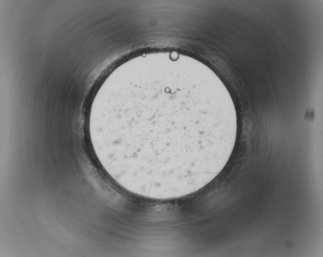 X0000112860584200909181803
