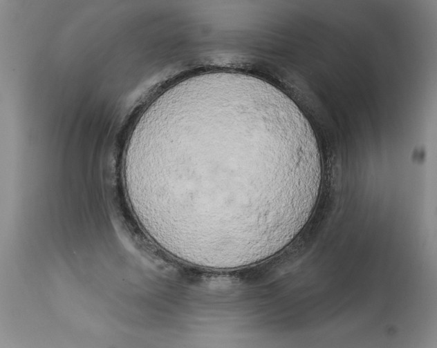 X0000112860587200909181803