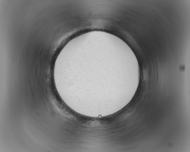 X0000112860588200909181803