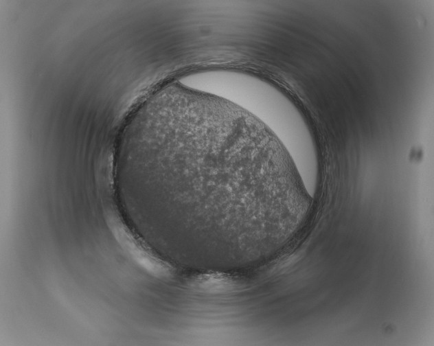 X0000112860589200909181803
